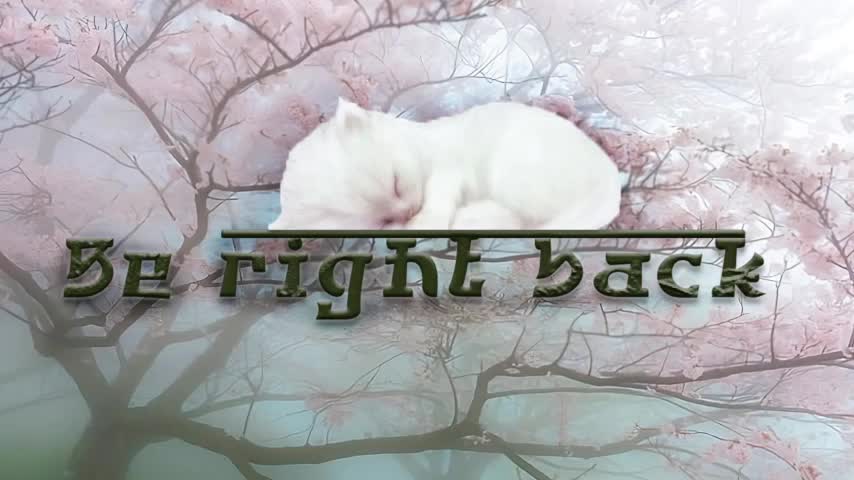Electro_doll Adult Chat July 16, 2026