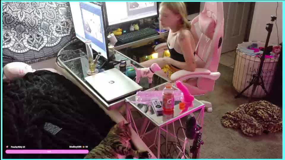 obeythebrat Adult Chat July 15, 2026