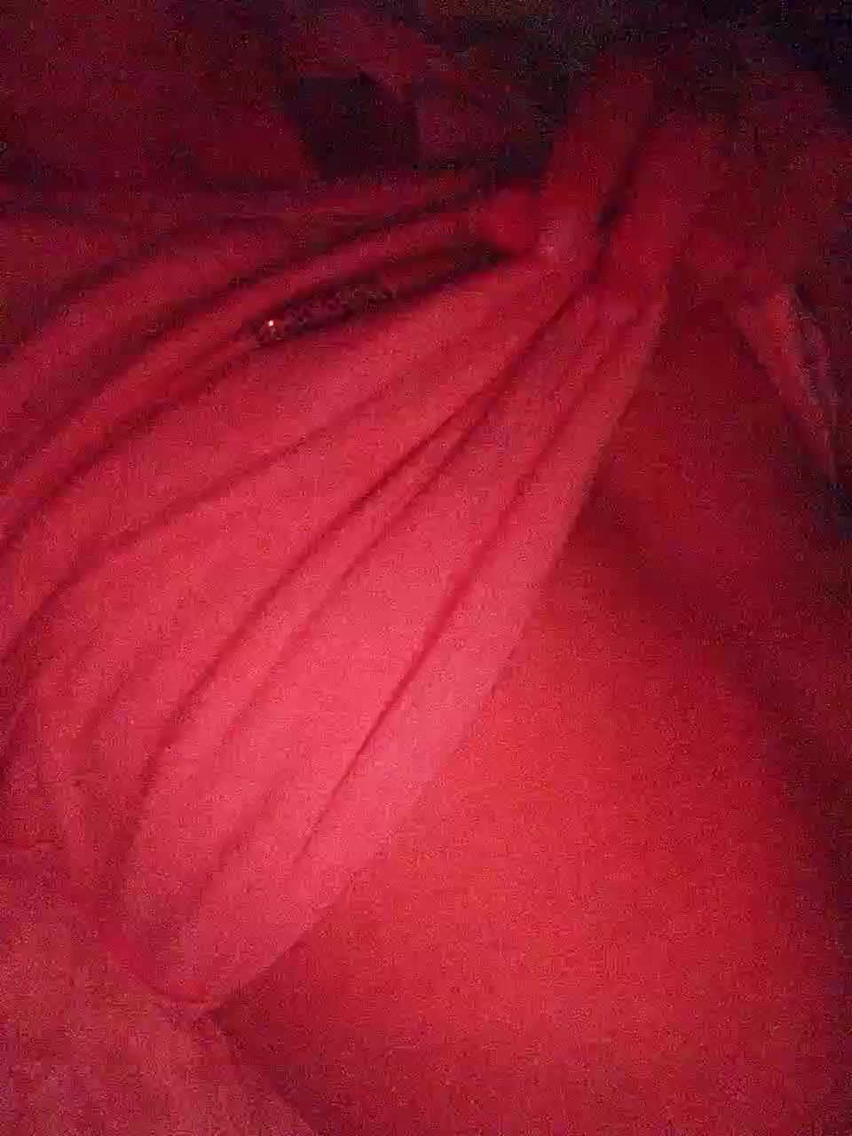Alina-9999 Adult Chat July 17, 2026