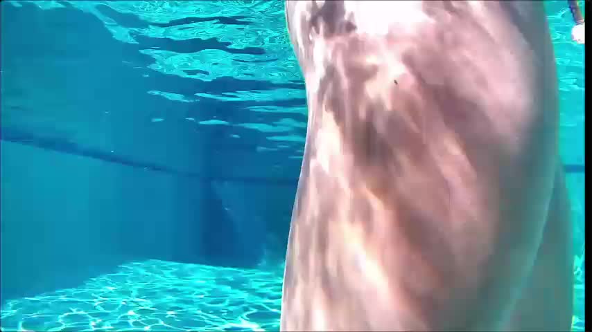 Myliss_ Adult Chat July 17, 2026