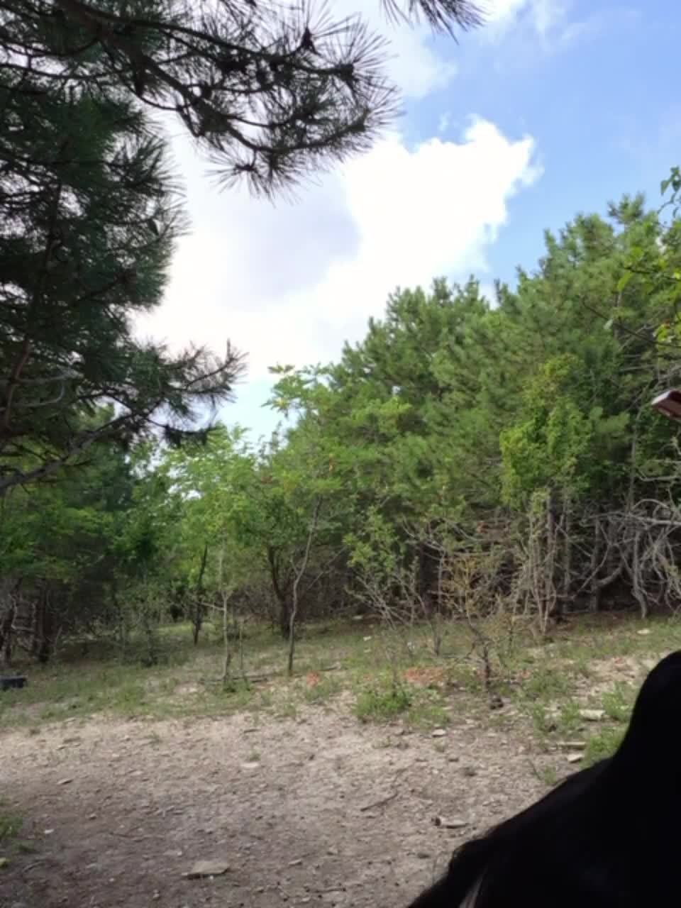 ___Pypsiki___ Adult Chat July 22, 2026
