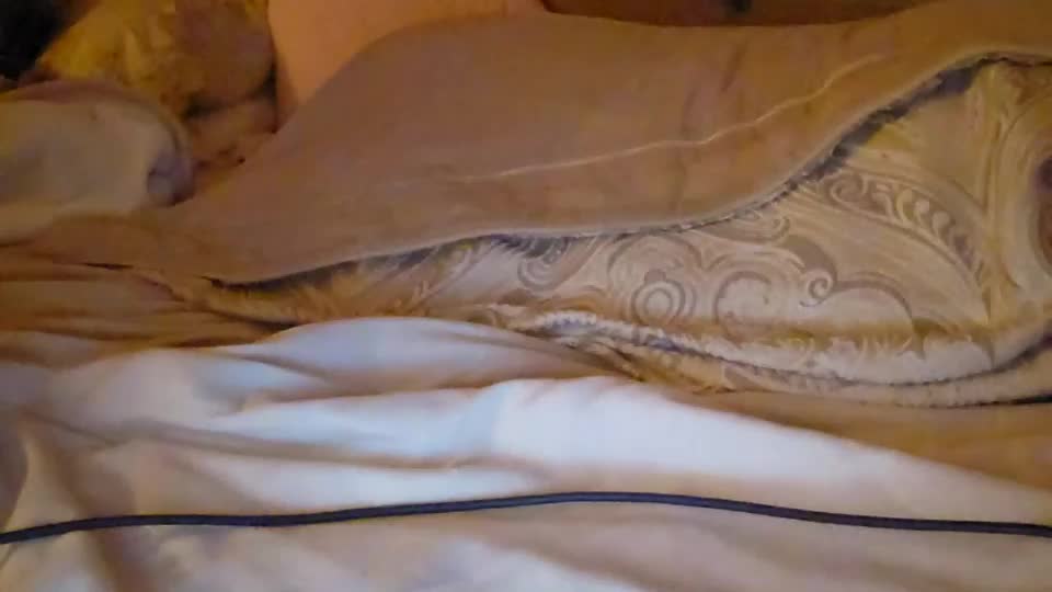 x_dreamgirl_x Adult Chat July 23, 2026