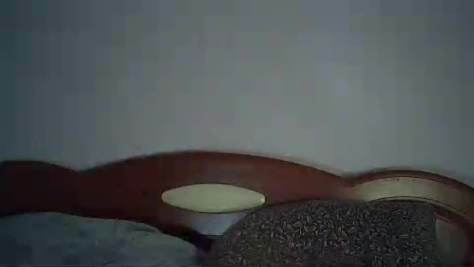 eveliina_shy Adult Chat July 25, 2026
