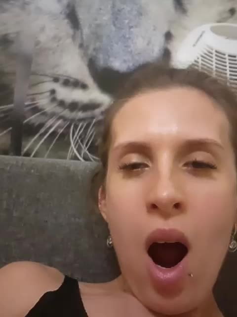 KittyTempreXXX Adult Chat July 26, 2026