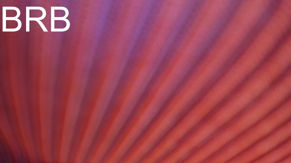 _kimtorres_1 Adult Chat July 26, 2026