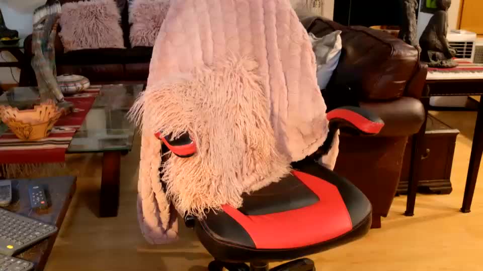 littlepistol Adult Chat August 4, 2026
