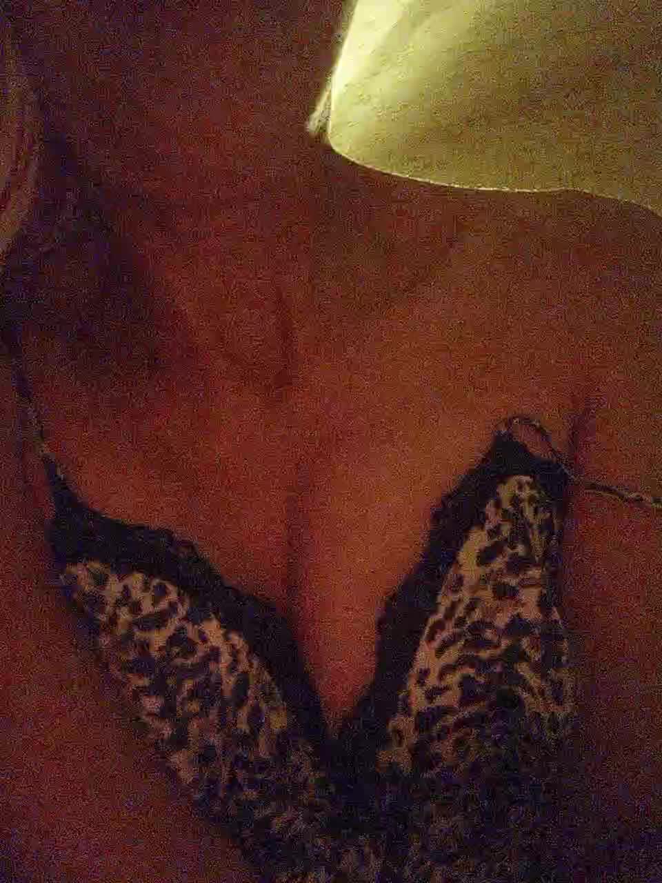 Alina-9999 Adult Chat August 9, 2026