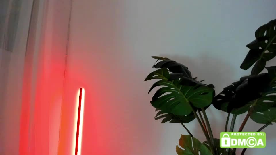 ashllovee_ Adult Chat August 11, 2026