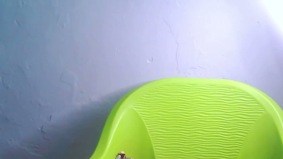 cherryxpussy Adult Chat August 12, 2026