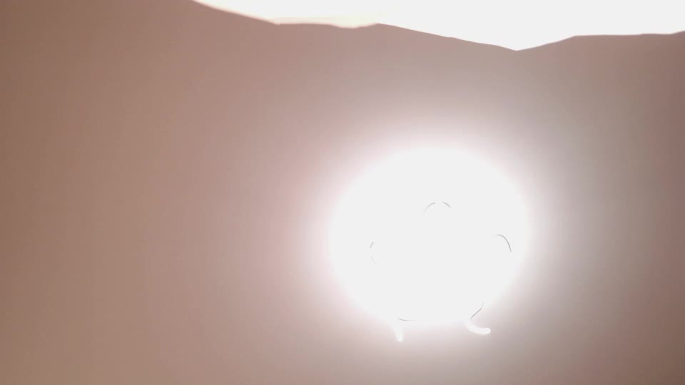 guns_n_buns Adult Chat August 14, 2026