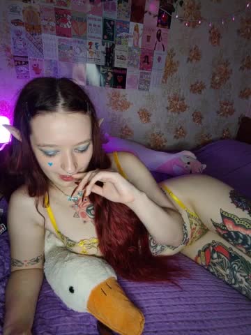AmeliaRosea Adult Chat August 14, 2026