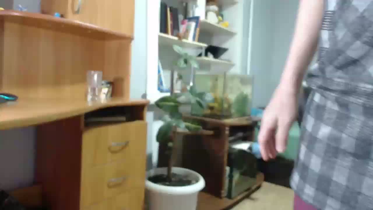 A_meliya_ Adult Chat August 16, 2026