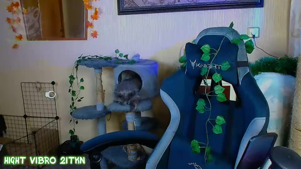 trickykitsune Adult Chat August 16, 2026