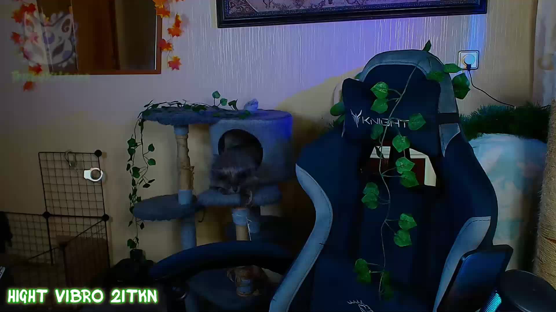 Tricky_Kitsune Adult Chat August 16, 2026