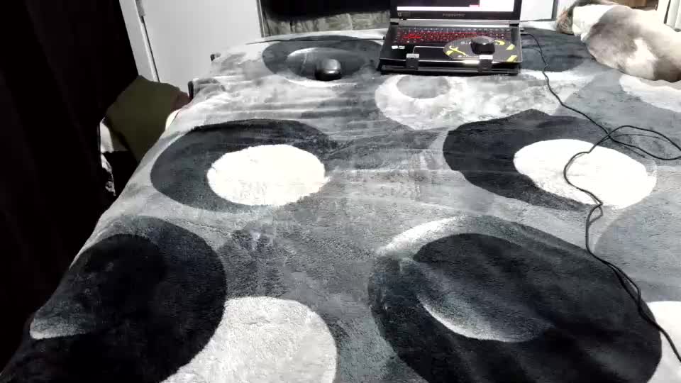 laylabrasil Adult Chat August 17, 2026