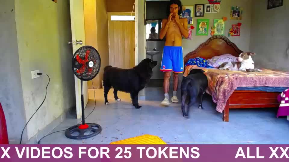 blackpanter_13 Adult Chat August 17, 2026