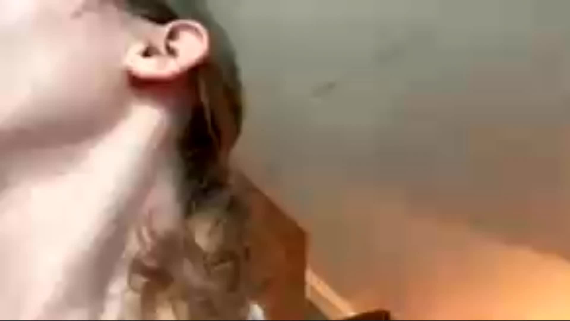 Evacrazys Adult Chat August 20, 2026
