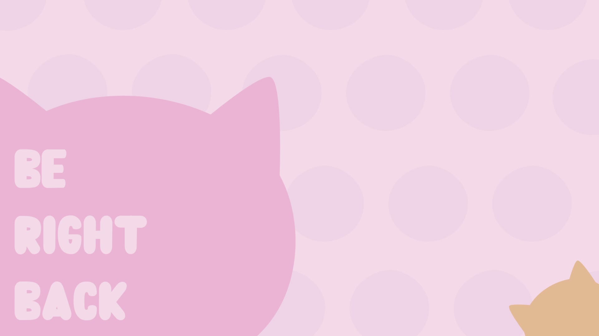 HolyCute Adult Chat August 27, 2026