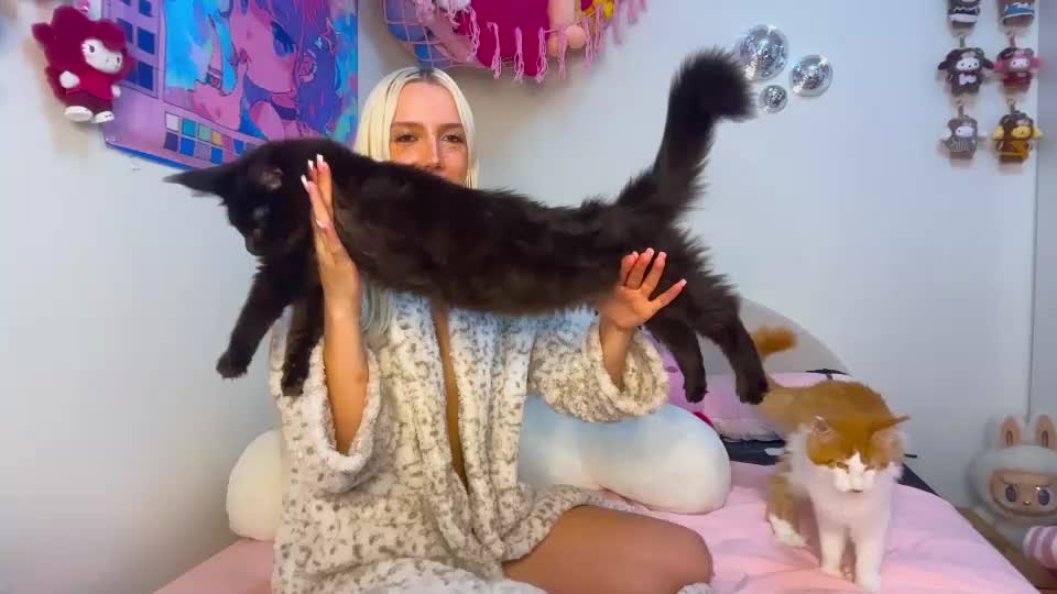 riababe Adult Chat September 1, 2026