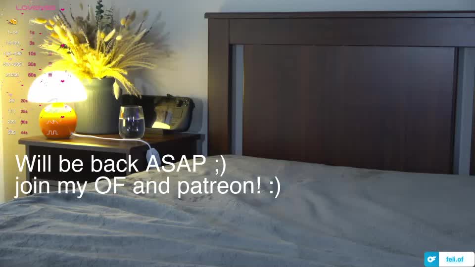 _feli_ Adult Chat September 2, 2026