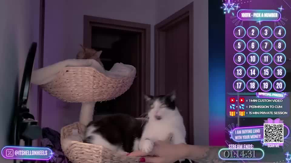 hell_on_heels_ Adult Chat September 3, 2026