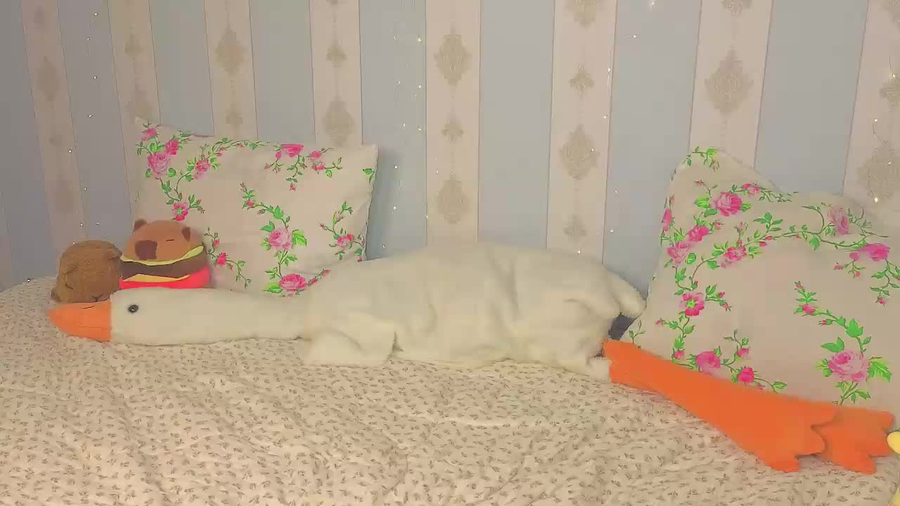 miya-soft Adult Chat September 3, 2026