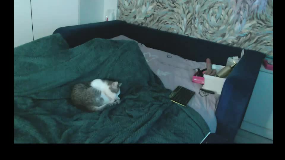 annabellecaramel Adult Chat September 5, 2026