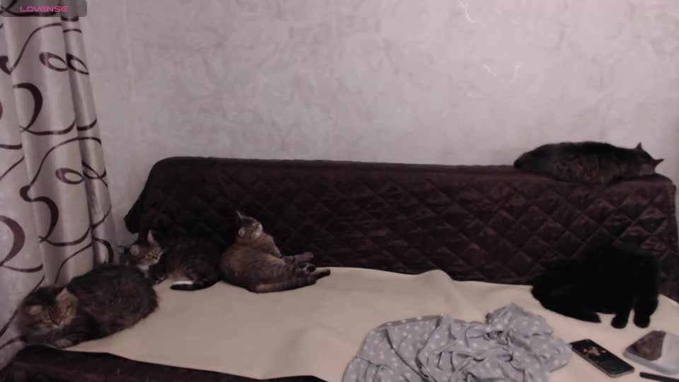 olivia_redd Adult Chat September 5, 2026