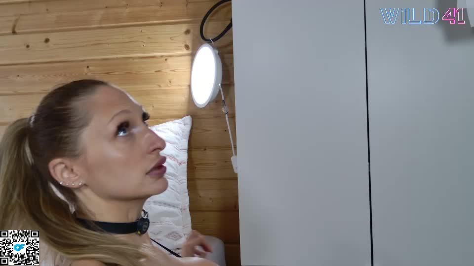 wild41 Adult Chat September 6, 2026