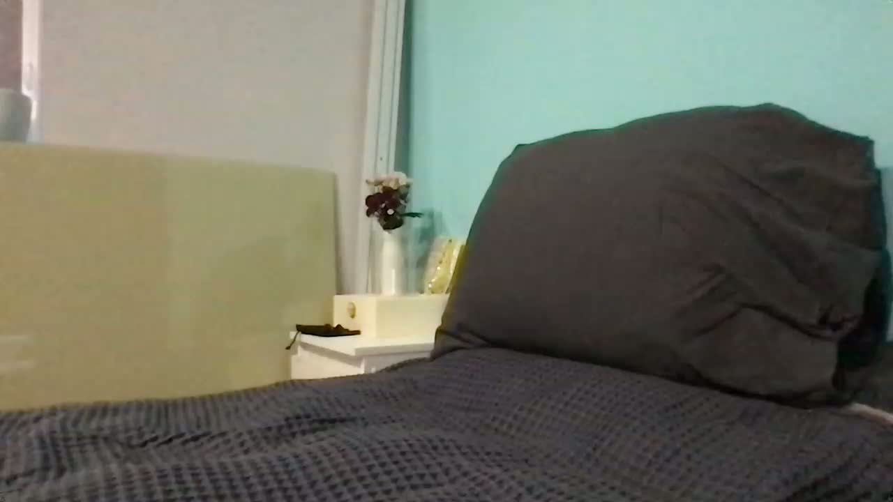 MilaBi-192569 Adult Chat September 8, 2026