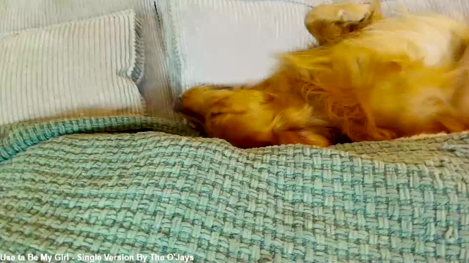 x_lily_x Adult Chat September 11, 2026