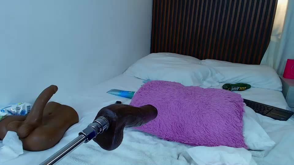 bunnykat_ Adult Chat September 14, 2026
