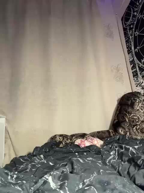 Sofelcamss Adult Chat September 14, 2026
