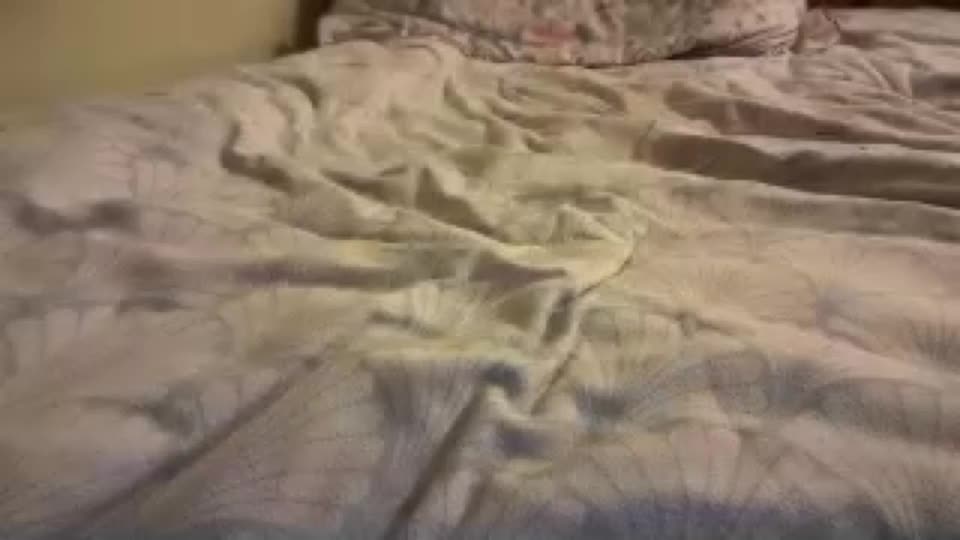 sexiest_labia_ever Adult Chat September 14, 2026