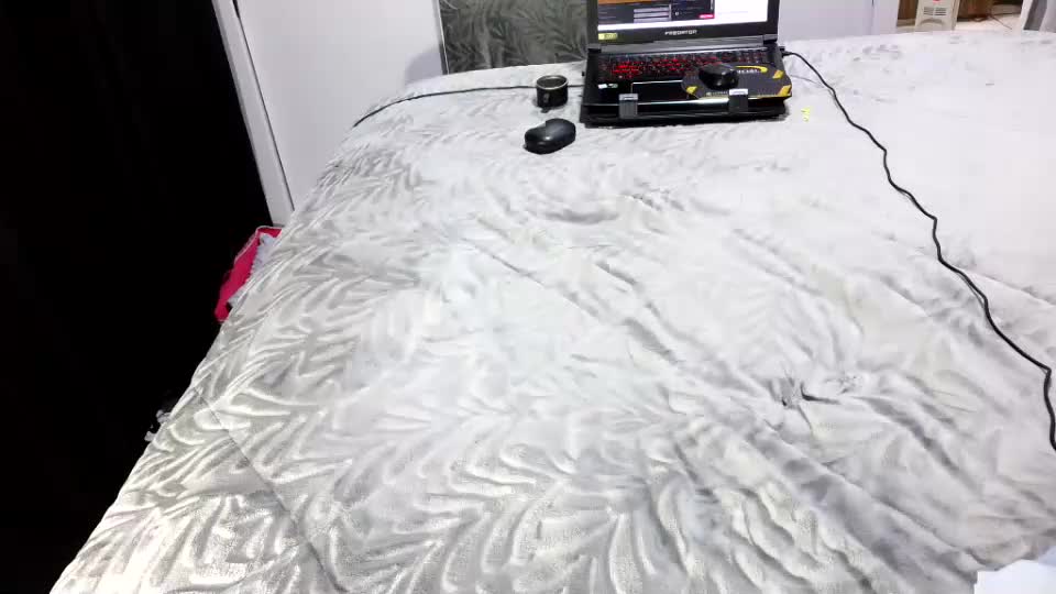 laylabrasil Adult Chat September 15, 2026