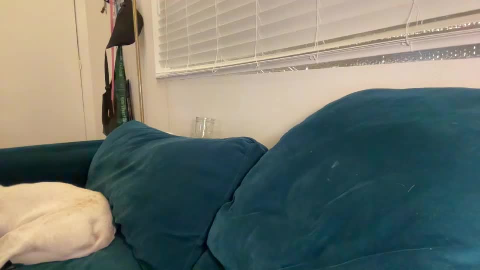 dreamyriri Adult Chat September 16, 2026