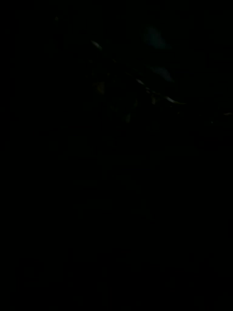 Darinaray9 Adult Chat September 19, 2026