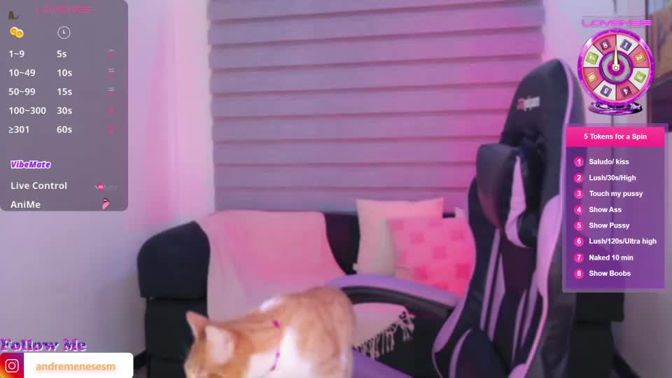 dreinafoxx Adult Chat September 19, 2026