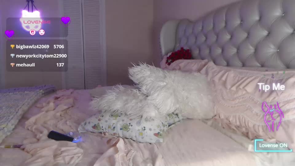 sensual_paradise_ Adult Chat September 19, 2026