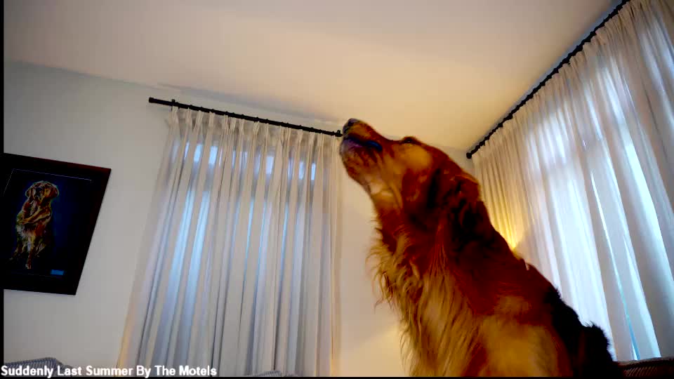 x_lily_x Adult Chat September 19, 2026