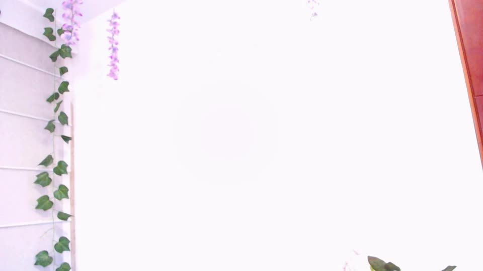 provincute Adult Chat September 20, 2026