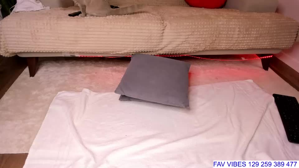honeybunnyyy_ Adult Chat September 23, 2026
