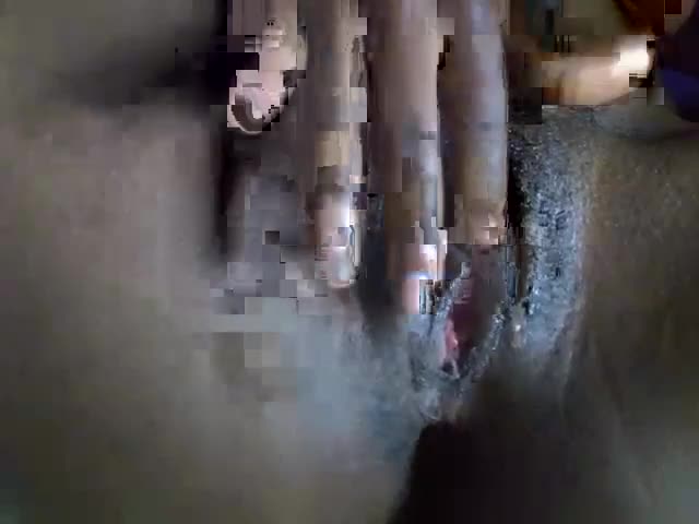 cute_melaninn Adult Chat September 24, 2026