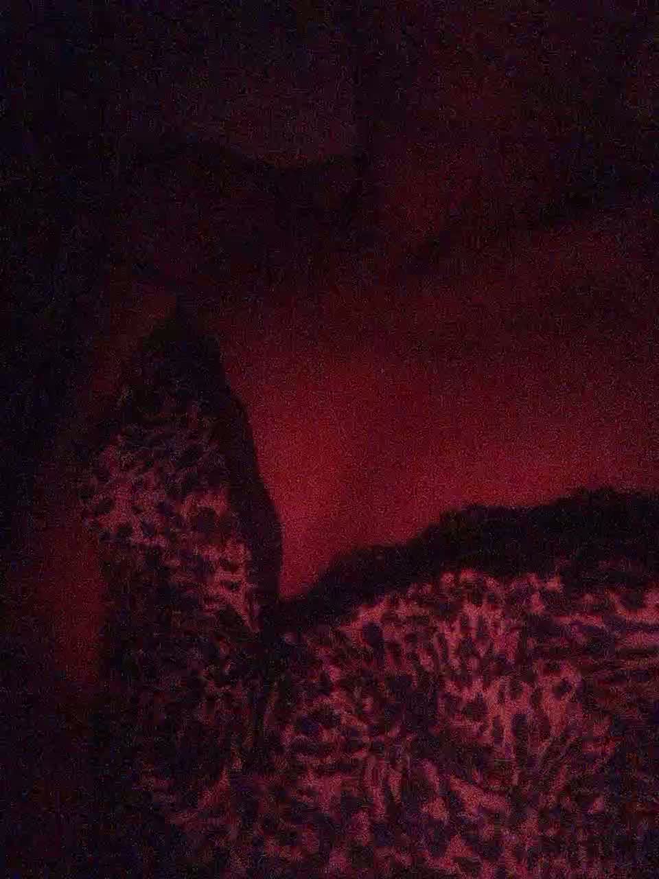 Alina-9999 Adult Chat September 25, 2026