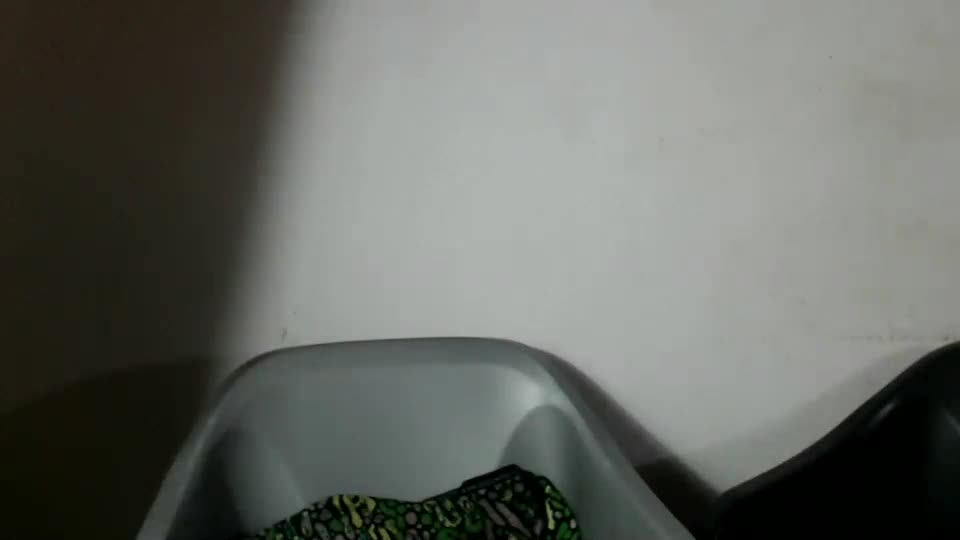 chubykiran Adult Chat September 25, 2026