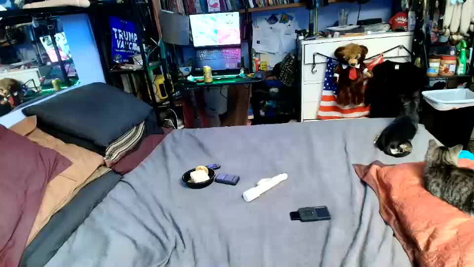 pink_black Adult Chat September 28, 2026