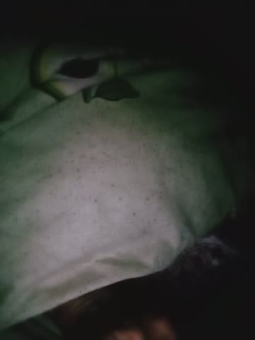 navy2004 Adult Chat October 13, 2026