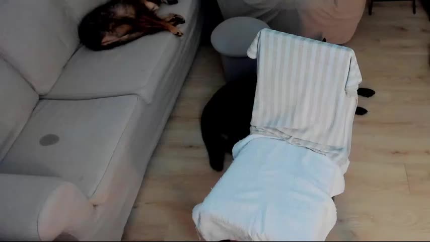 Squirt_Kimm Adult Chat October 14, 2026