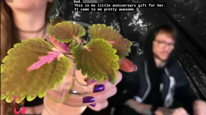 webzandkordz Adult Chat October 16, 2026