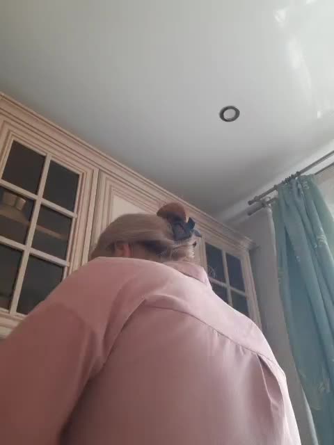 Zlykaa Adult Chat October 17, 2026